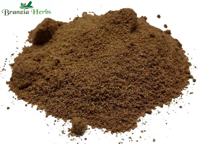 Coriander Ground Powder Wholesale - Branzia Herbs