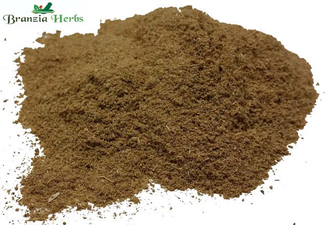 Cumin Ground Powder Wholesale - Branzia Herbs