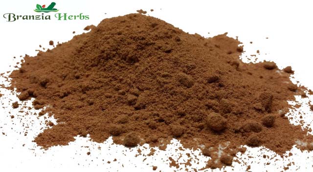 Galangal Ground Powder Wholesale - Branzia Herbs
