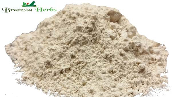 Garlic Powder Wholesale - Branzia Herbs
