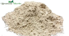 Garlic Powder Wholesale - Branzia Herbs