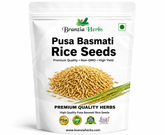 Pusa Basmati Rice Seeds | Heirloom Long Grain Aromatic Paddy for Planting