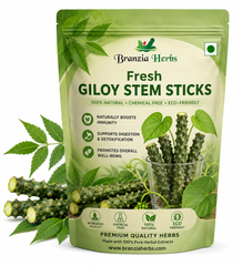 Fresh Giloy Stem Sticks with Natural Neem – 10 Pieces Organic Ayurvedic Herbal Remedy for Immune Support, Detox, Wellness & Daily Herbal Care