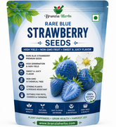 Rare Blue Strawberry Seeds | High Yield Non-GMO Fruit Seeds | Sweet & Juicy Flavor | Home Garden Planting Seeds
