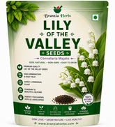 Lily of The Valley Seeds | Convallaria Majalis | Fragrant Perennial Flower Seeds for Home Gardening