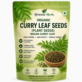 Curry Leaf Seeds | Murraya Koenigii | Indian Kadi Patta Plant Seeds | Herbal Garden Seeds