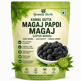 Kamal Gatta Magaj | Lotus Seeds Kernels | Nelumbo Nucifera Kernels | Papdi Magaj | Premium Natural Seeds