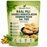 Raal Pili (Yellow Dammar Resin) | Shorea Robusta Resin | Sal Tree Gum | Natural Dhoop Resin for Puja, Havan & Incense