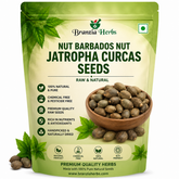 Barbados Nut Seeds | Jatropha Curcas Seeds | Ratanjot Seeds for Plantation & Gardening