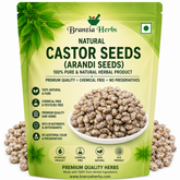 Castor Seeds - Arandi Seeds
