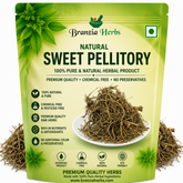 Sweet pellitory | Metha Akarkara | Tanacetum umbelliferum