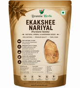 Ekakshee/Ekakshi Nariyal/One Eye Coconut for Pooja Vastu & Fengshui
