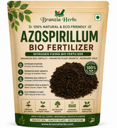 Azospirillum - Bio Fertilizer - Home Gardening