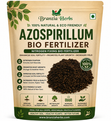Azospirillum - Bio Fertilizer - Home Gardening