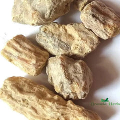 Damar Gum - Sal - Shorea Robusta - Raal Peeli Gond - Branzia Herbs