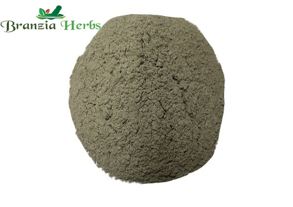 Bhrungraj powder – Bhangra Powder – Eclipta alba - Branzia Herbs
