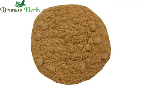 Bilva Fruit Powder/Billagarbh - Branzia Herbs