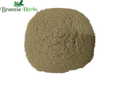 Brahmi Powder – Indian Pennywort – Centella asiatica - Branzia Herbs