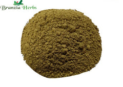Chakramarda Powder – Kuvadva Powder – Cassia tora - Branzia Herbs