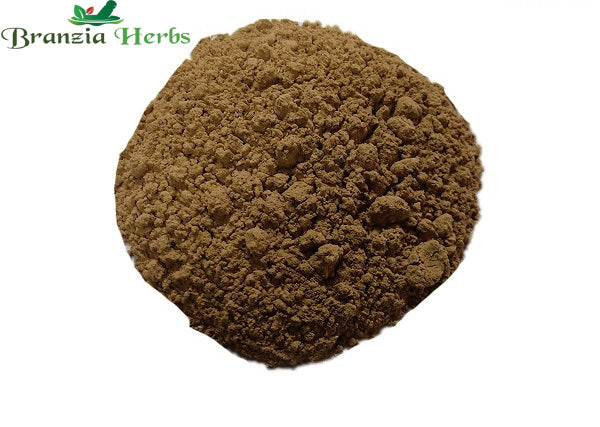 Chandan Powder – Sandalwood Powder - Branzia Herbs