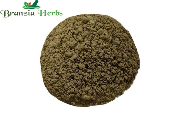 Gokhru Powder – Gokshura Powder – Tribulus terrestris - Branzia Herbs