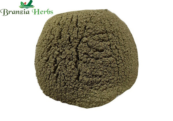 Gudmar Powder – Meshashringi Churna – Gurmar – Gymnema sylvestre - Branzia Herbs