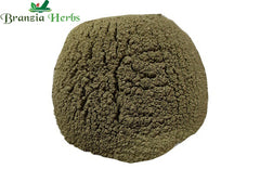 Gudmar Powder – Meshashringi Churna – Gurmar – Gymnema sylvestre - Branzia Herbs