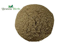 Hadjod Powder – Cissus quadrangularis - Branzia Herbs