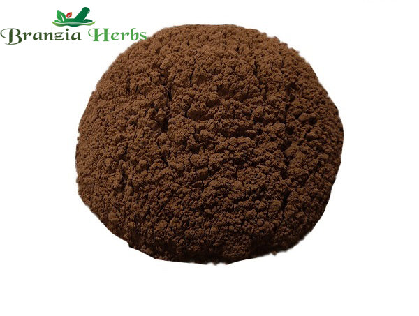 Hibiscus Powder – Jasud Phool Powder - Branzia Herbs