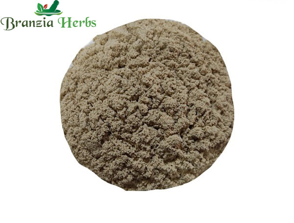 Kaunch Beej Powder – Kaucha Beej Powder – Mucuna pruriens - Branzia Herbs