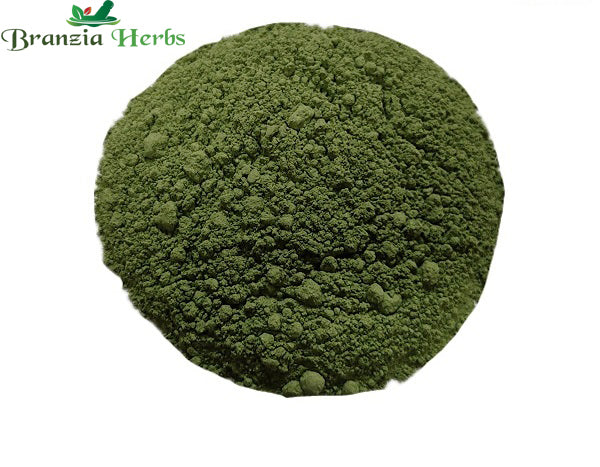 Kirayata/Karyatu/Chiraita Powder – Andrographis pamiculata - Branzia Herbs