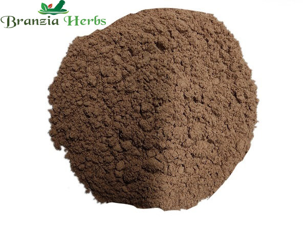 "Lata Karanja Seeds Powder – Kakach Powder – Caesalpinia Bonducella " - Branzia Herbs