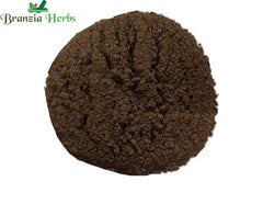 Meda Lakdi Churna – Maida Lakdi Powder – Litsea glutinosa - Branzia Herbs