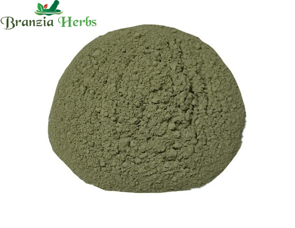 "Neem Leaves Powder – Limbda Pan Powder – Azadirachta indica " - Branzia Herbs