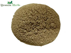 Sarpagandha Powder – Rauwolfia serpentina - Branzia Herbs