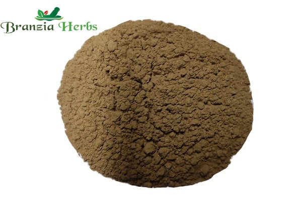 Somlata Churna – Ephedra gerardiana Somlata Powder - Branzia Herbs