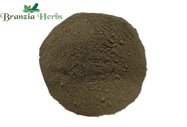 Sutshekhar Ras Powder - Branzia Herbs