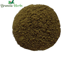 Tejpatta Powder – Tamalpatra Powder – Cinnamomum tamala - Branzia Herbs