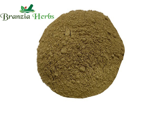 Triphala Powder - Branzia Herbs