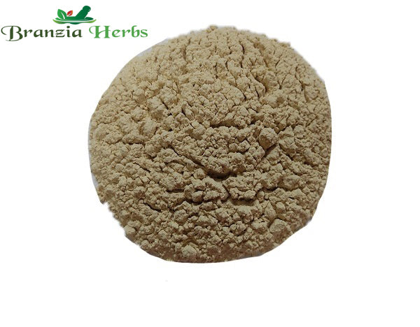 Vidarikand Powder – Pueraria tuberosa - Branzia Herbs