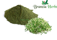ALFALFA LEAVES POWDER (ORGANIC) – PURPLE MEDICK – MEDICAGO SATIVA - Branzia Herbs
