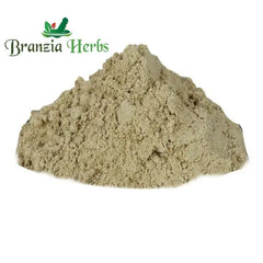 SANJEEVANI BUTI POWDER – LAXMAN BOOTI POWDER – SELAGINELLA BRYOPTERIS - Branzia Herbs