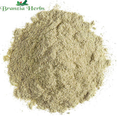 "Wheatgrass Powder - Triticum aestivum " - Branzia Herbs