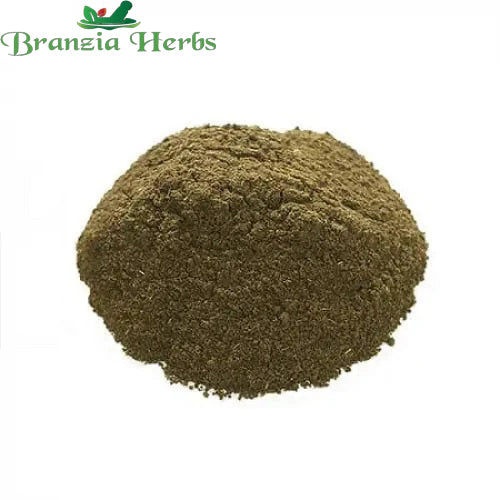 "Tea Powder " - Branzia Herbs