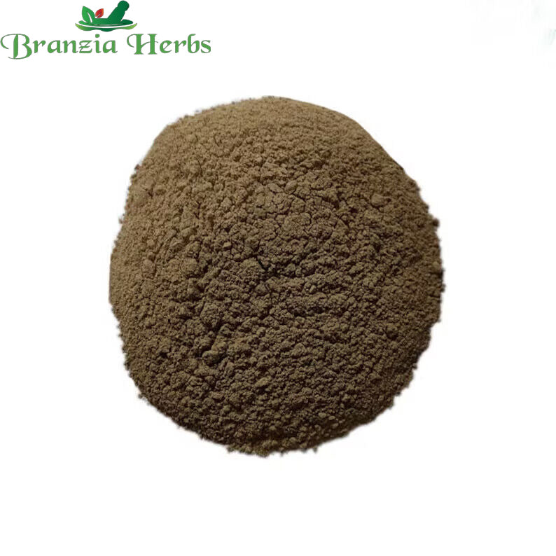 Musli Kali Powder - Curculigo Orchiodes - Black Musli - Branzia Herbs