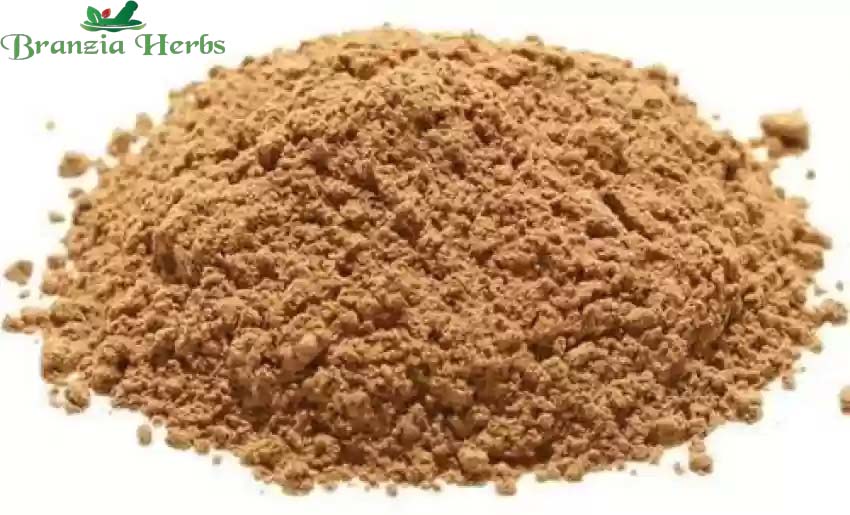 Lodh Pathani Powder - Symplocos Racemosa | TheWholesalerCo - Branzia Herbs