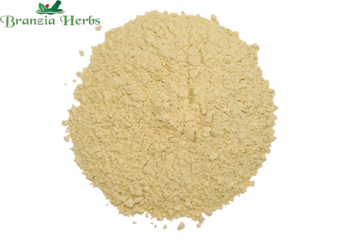 Bidharkand Safed Powder - Puerariatuberosa - Indian Kudzu - Branzia Herbs