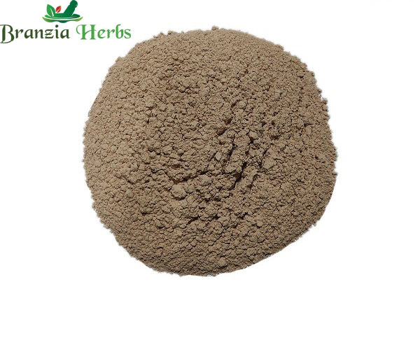 Arjun Chaal Powder – Arjun Tree – Terminalia Arjuna - Branzia Herbs