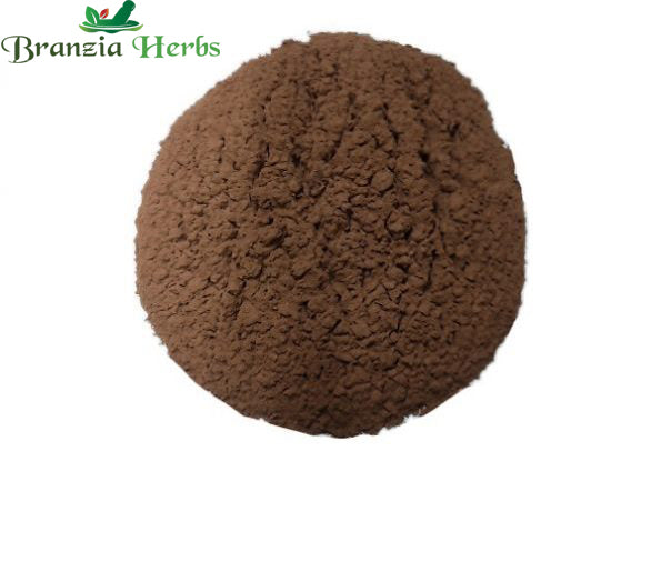 Ashok Chal Powder – Ashok Bark Powder – Saraca Indica - Branzia Herbs