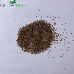 "Tarragon Herb Seeds " - Branzia Herbs